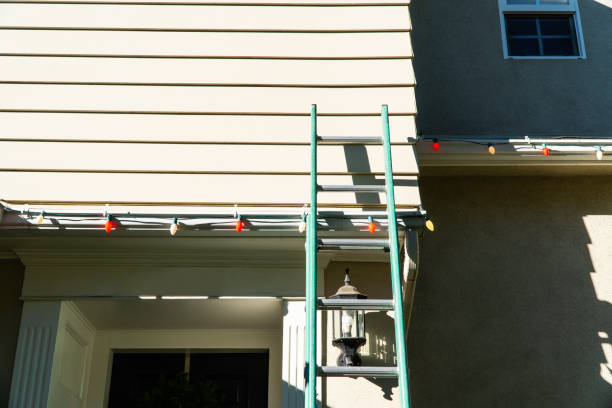 Best Aluminum Siding Installation  in Clearwater, MN