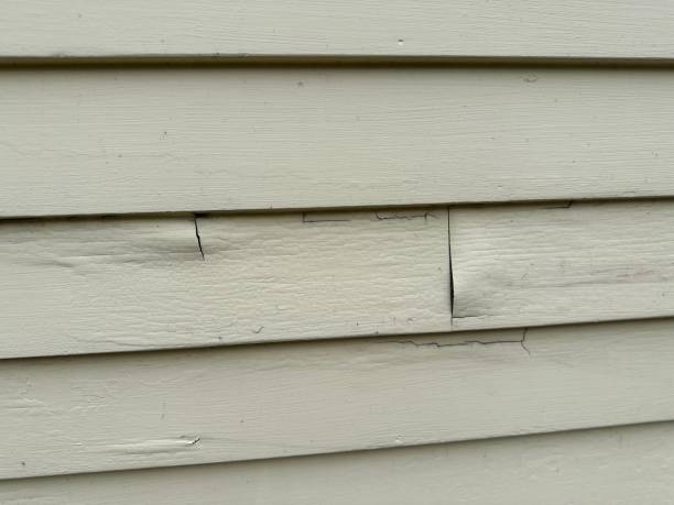 Professional Siding Services in Clearwater, MN