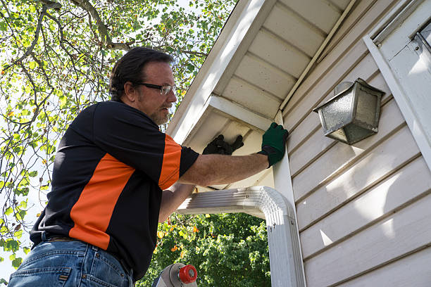 Best Insulated Siding Installation  in Clearwater, MN